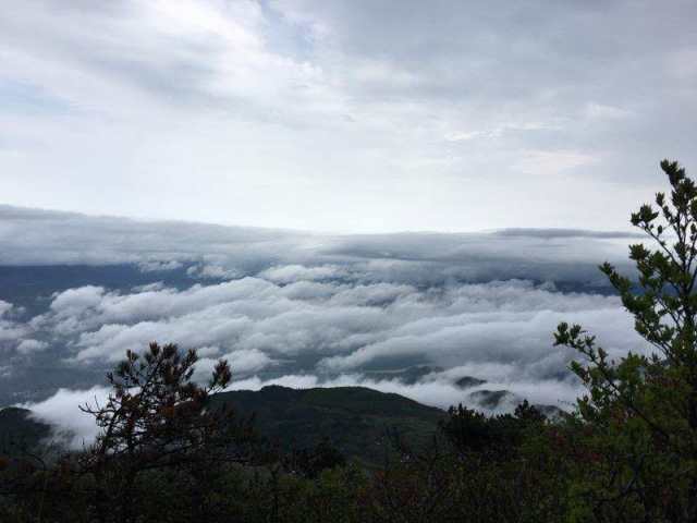 微信图片_20180416104430.jpg