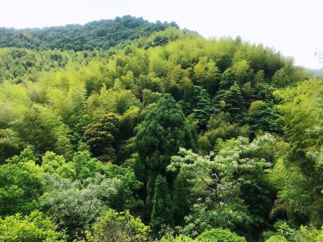 就算举步维艰，也要翻山越岭，去自己想去的终点-柴古沙埠吃喝玩崩历险记by沈乌贼11.jpg