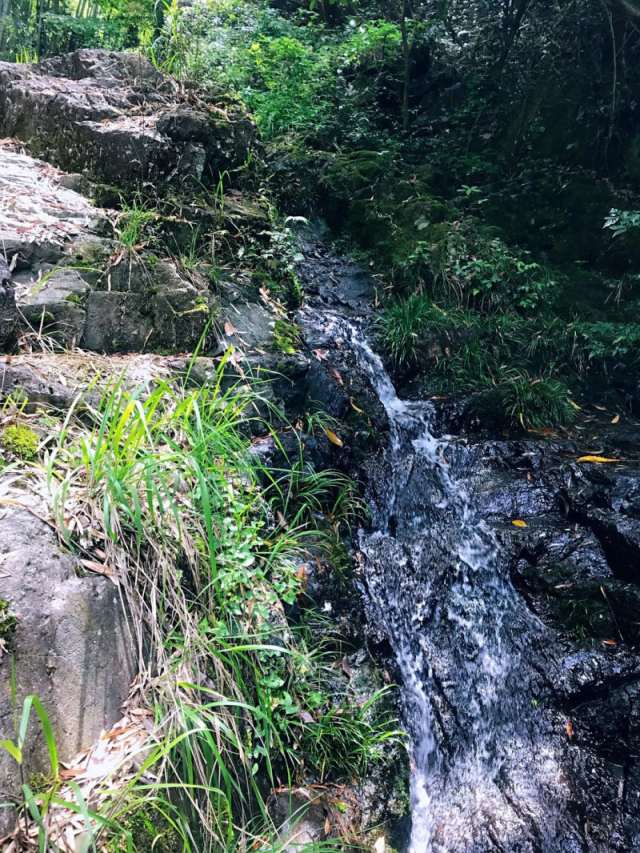 就算举步维艰，也要翻山越岭，去自己想去的终点-柴古沙埠吃喝玩崩历险记by沈乌贼13.jpg