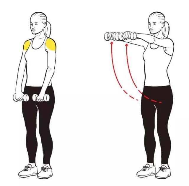 三角肌的锻炼方法图片